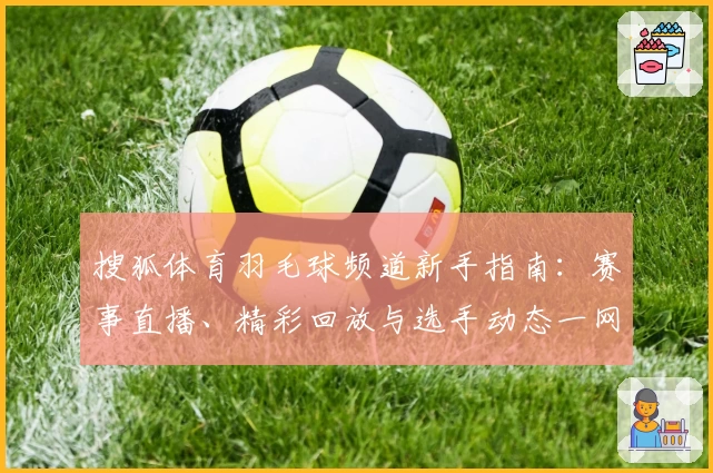 搜狐体育羽毛球频道新手指南：赛事直播、精彩回放与选手动态一网打尽