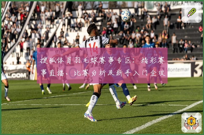 搜狐体育羽毛球赛事专区：精彩赛事直播、比赛分析及新手入门全攻略