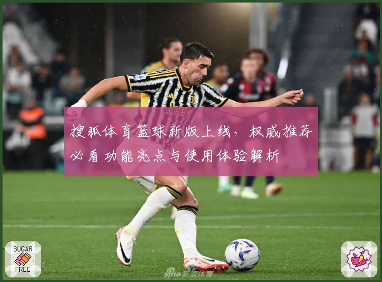 搜狐体育篮球新版上线，权威推荐必看功能亮点与使用体验解析