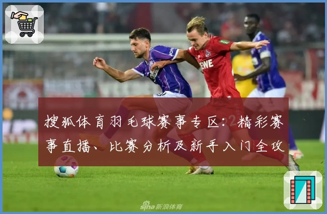 搜狐体育羽毛球赛事专区：精彩赛事直播、比赛分析及新手入门全攻略