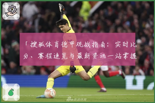 「搜狐体育德甲观战指南：实时比分、赛程速览与最新资讯一站掌握」