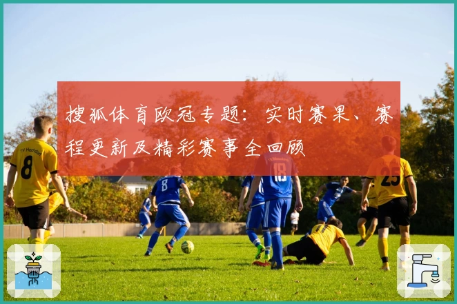 搜狐体育欧冠专题：实时赛果、赛程更新及精彩赛事全回顾