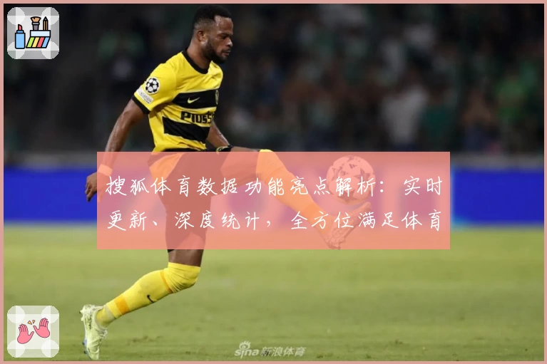 搜狐体育数据功能亮点解析：实时更新、深度统计，全方位满足体育迷需求