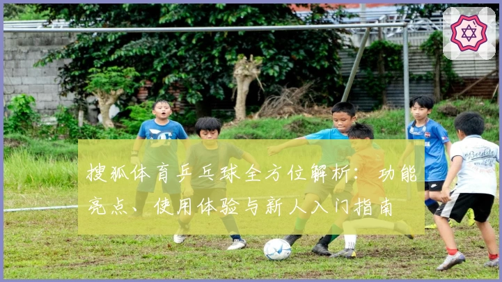 搜狐体育乒乓球全方位解析：功能亮点、使用体验与新人入门指南