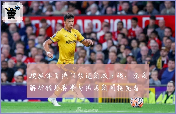 搜狐体育热门频道新版上线，深度解析精彩赛事与热点新闻抢先看